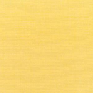 Canvas Buttercup
