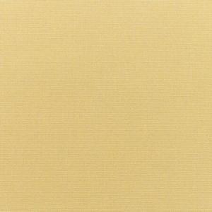Canvas Wheat