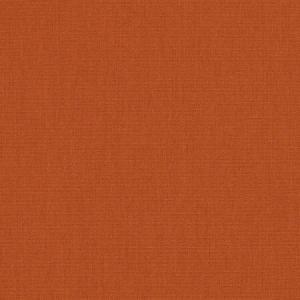 Canvas Rust